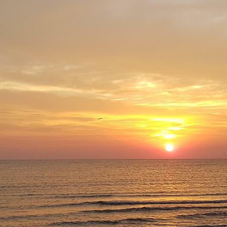 Summerhouse Apartments Mamaia Luaran gambar